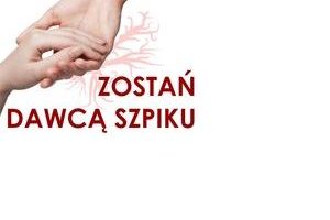 szpik