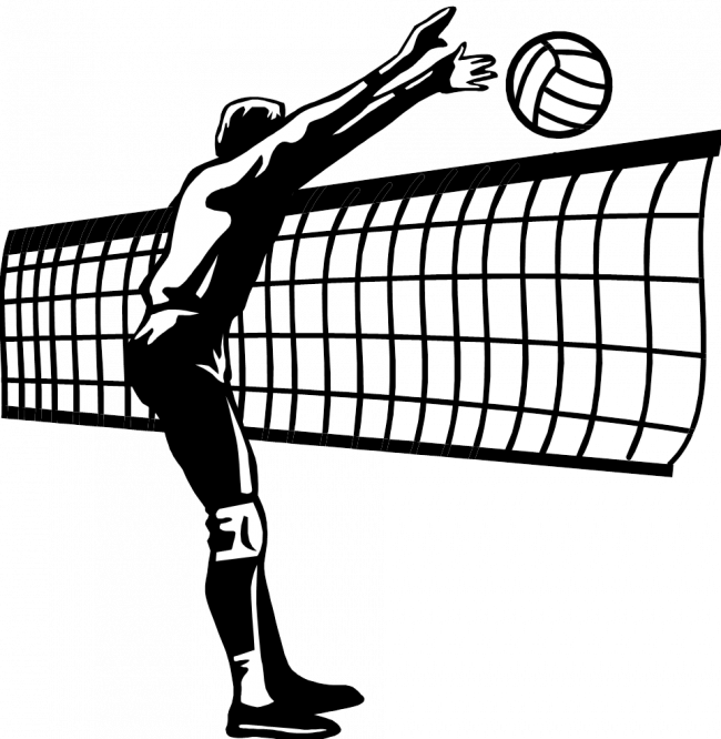 volleyball pic