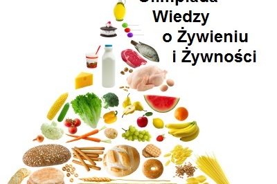 logo-owoziz