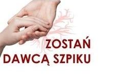 szpik-300×225