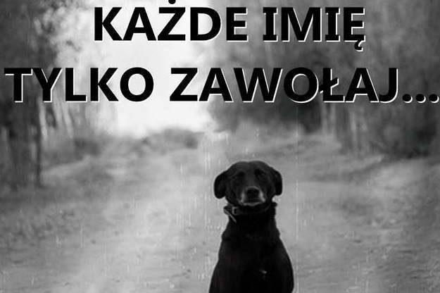 odpowiem