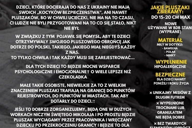 akcja miś