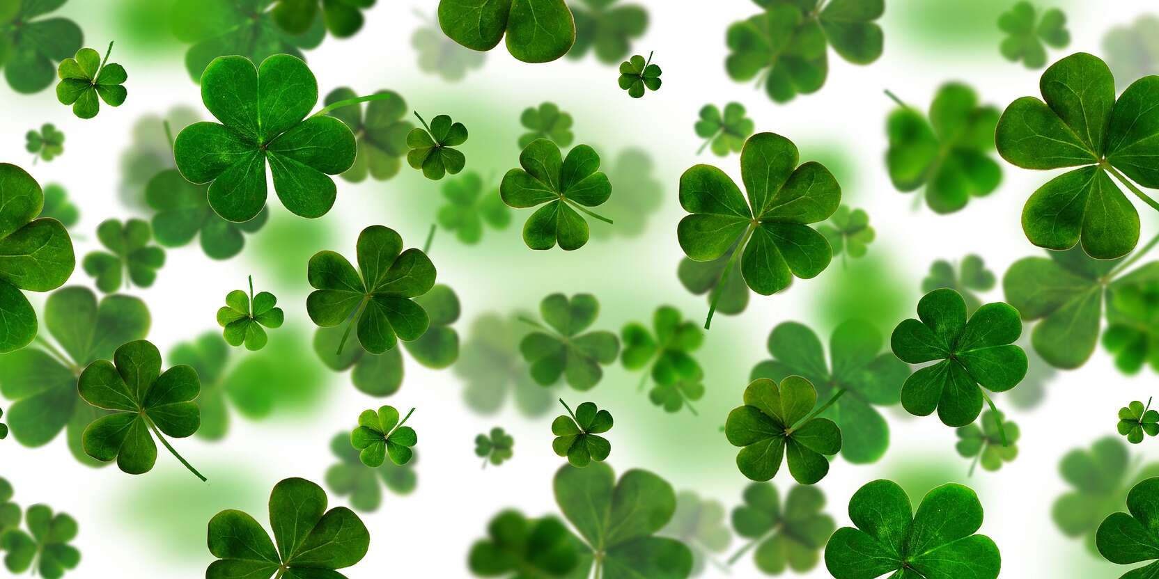 clover-gb14b458f6_1920