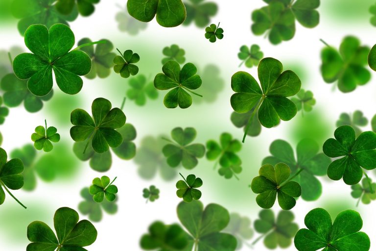 clover-gb14b458f6_1920