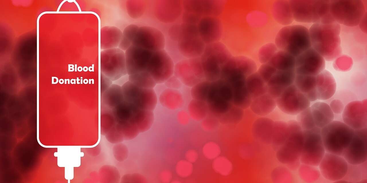 blood-donation-4151721_1280