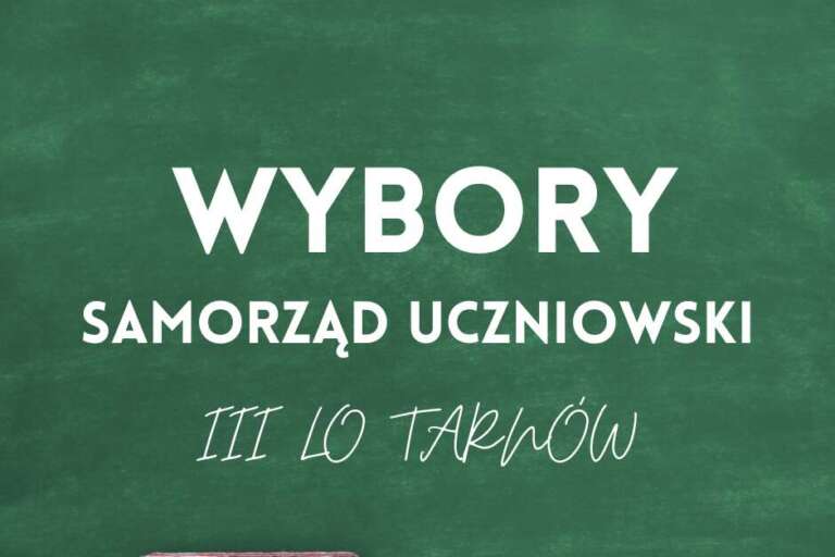 wybory samorząd