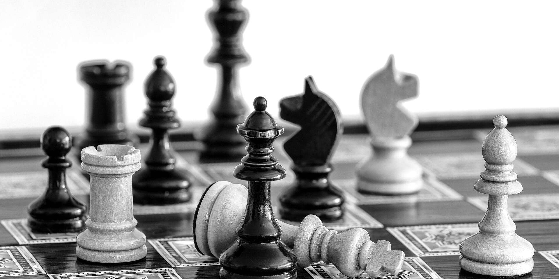 17831348-chess-5516446_1920